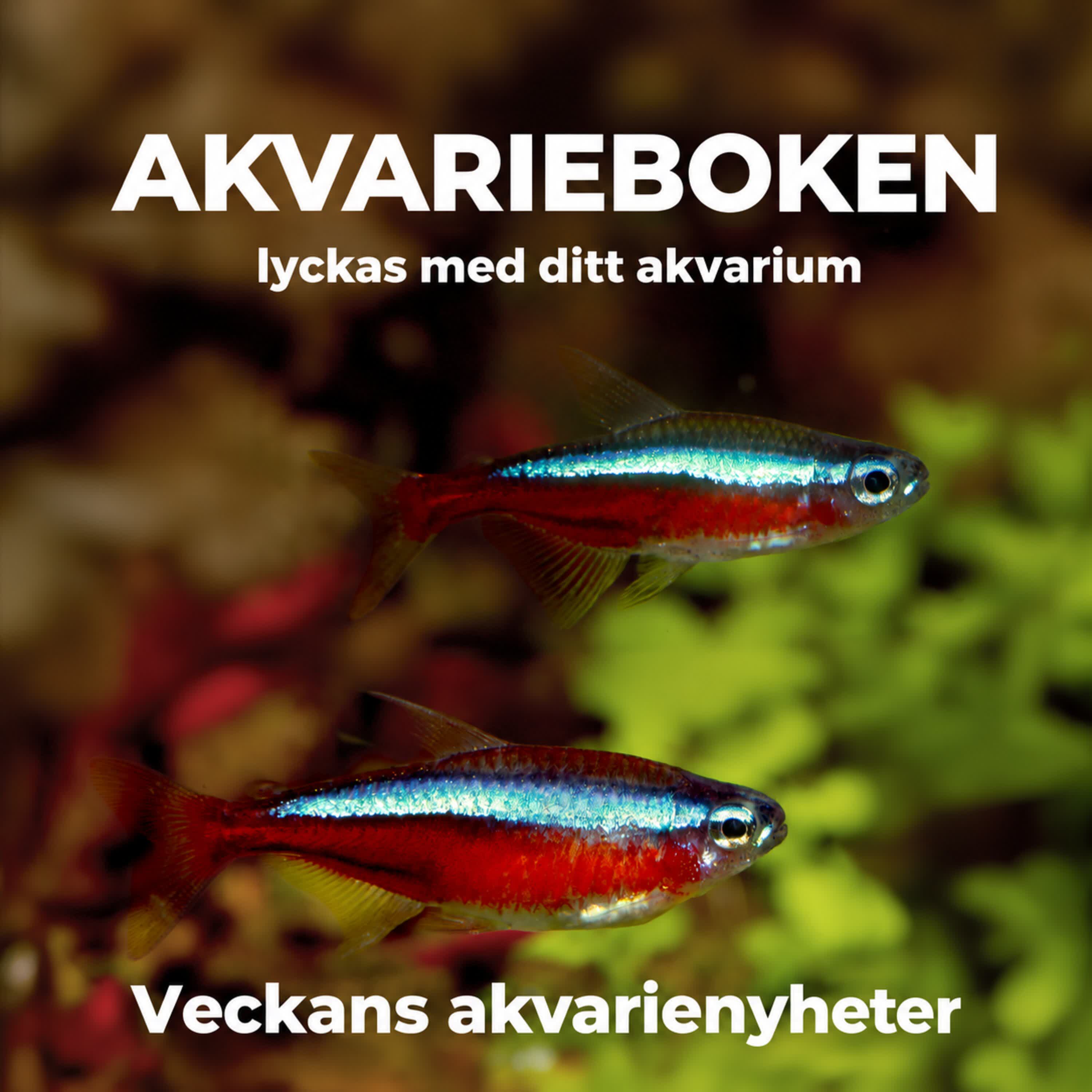 Omslag för podden Akvarieboken