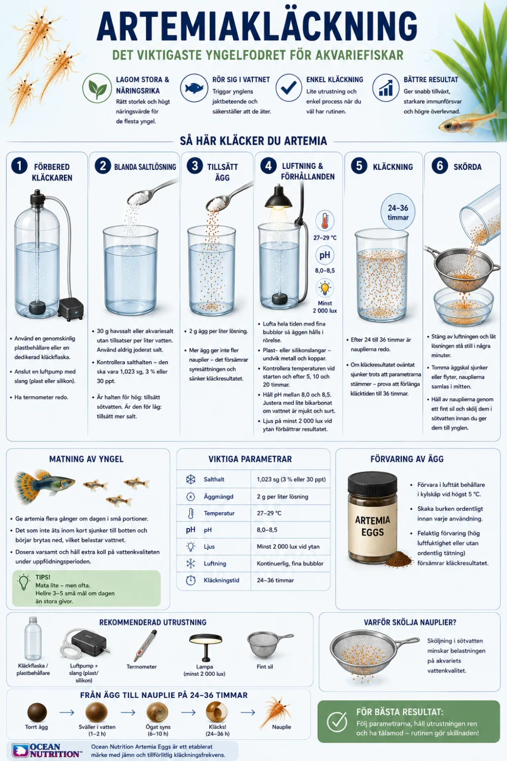 artemia